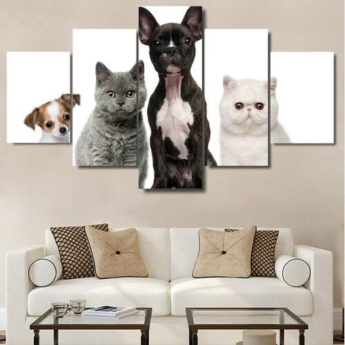 Framed Canvas Paintings Living Room Wall Art HD Prints 5 Pieces Lovely Puppy Cats And Dogs Poster Home Decor Animals