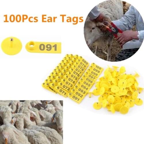 Carriers For Animals KOMOREBI China