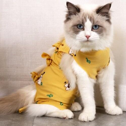 Cat Clothes Post-operative Weaning Breathable Physiological Clothes Pet Clothes Anti-lick Surgery Weaning suit