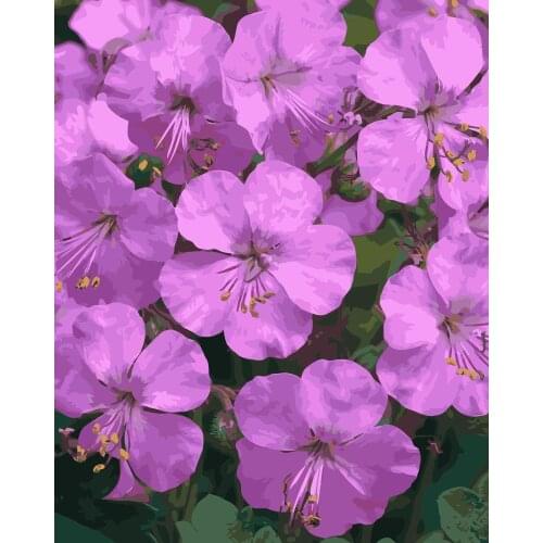 MaHuaf-i951 painting by numbers flowers purple Geranium Hand Painted Framed Acrylic Picture coloring by numbers on canvas 40x50