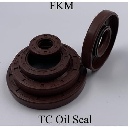 18.9*30*5 18.9x30x5 19*30*7 19x30x7 Brown Fluoro FKM Fluorine Rubber Spring 2 Lip TC Ring Gasket Radial Shaft Skeleton Oil Seal