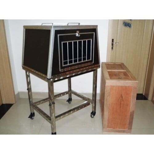 2in1 Girl Appearing From Cage Magic Tricks Doves to Girl + Fire Cage to Girl Magia Magician Stage Illusions Gimmick Props Mental