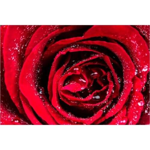 Full square diamond painting water rose flower embroidery mosaic diamond dotz rhinestone picture puzzle toy drawing wall decor
