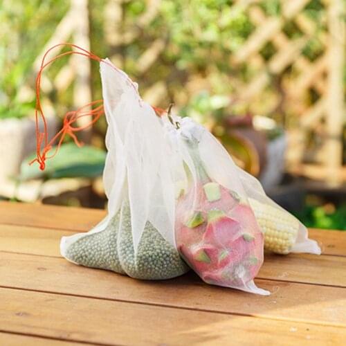 50Pcs Vegetable Fruit Seed Protection Bag Drawstring Anti Bird Pest Mesh Pouch Grape Protection Bags Against Insect Pouch