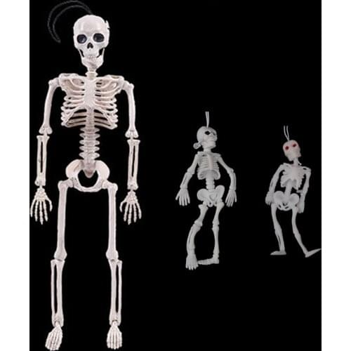 40/14/9.5CM Flexible Human Anatomical Anatomy bone Skeleton Model Medical Wholesale Medical Learn Aid Anatomy art sketch