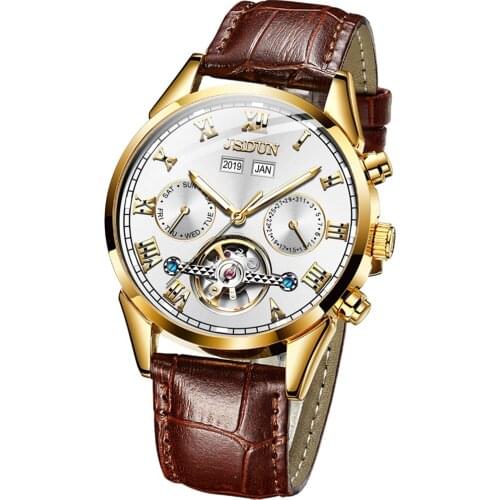 Top Brand Luxury Mens Mechanical Watch Fashion Leather Strap Skeleton Automatic Wristwatch Multifunction Men Sport Watches Reloj