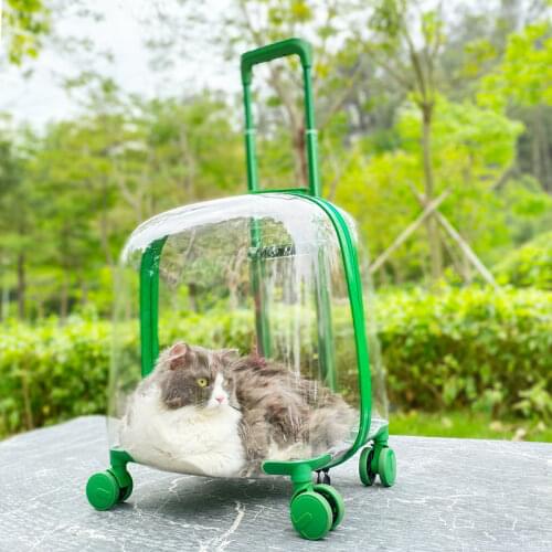 Pet Trolley Box Portable Suitcase Dog Backpack Large Capacity Space Capsule Travel Backpack Pet Accessories Cat Backpack