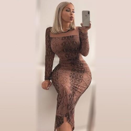 Sexy Snake Printed Sheer Mesh Long Dress Back Slit Translucent Maxi Dress Boa Printing Gown