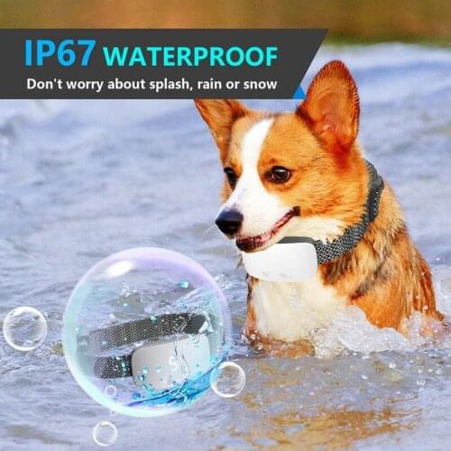 Pet Dog USB Electric Ultrasonic Dog Training Collar Anti Barking Collar Intelligent Dog Stop Barking Vibration Anti Bark Collar