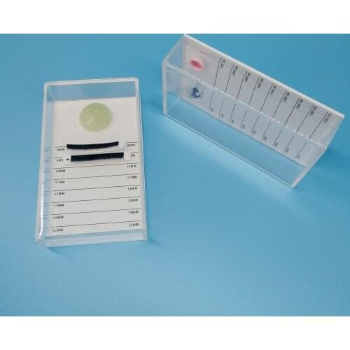 Hot 2 Styles Fake Eyelash Tray Strip Stand Individual Eyelash Extensions Dustproof Plate Eye Lash Grafting Stand Palette Tool