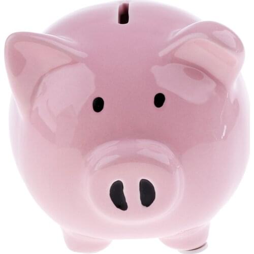 Piggy Bank Pig Money Coin Saving Box Pot Storage For Childs Kids Gift