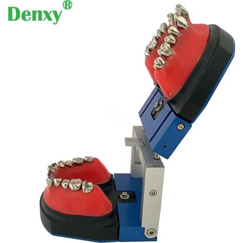 Denxy Dental Orthodontic training model Typodont teeth model orthodontic arch wire orthodontic correction training teaching