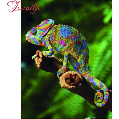 TOUOILP DIY Full Square/round 5D Diamond Painting chameleon 5D DIY Diamond Embroidery Cross Stitch Rhinestone Mosaic Home Decor