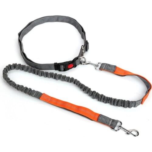 Dog Sling Color Pet Dog Leash Walking Training Traction Rope Dog Leash With Dog Leash