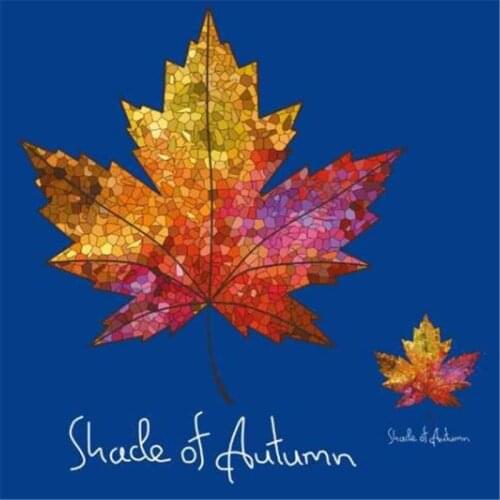 Fashion flower Patch DIY Clothes maple leaf 3d stickers Thermal Transfer Printing Iron on patches for clothing T shirt women