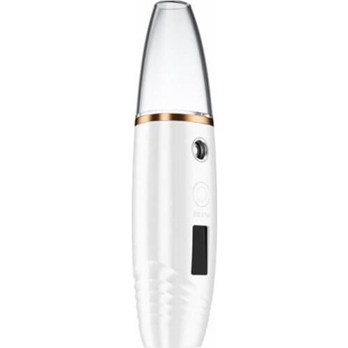 Hot Sell Micro Nebulizer Face Humidifier Ultrasonic Perfume Atomizer Nano Mist Sprayer