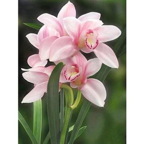 5D DIY Diamond Painting Flower Picture Pink Orchid Scene Picture Square/Round Diamond Cross Stitch Decorative Painting WG3081