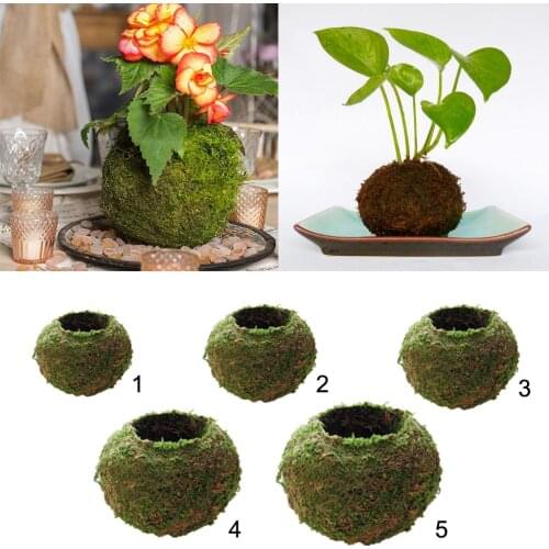 Round 6-18cm Green Natural Moss Ball Substrate Flower Pot Flowerpot Bonsai Holder Planter Garden Decor Plant Pot Home Decoration