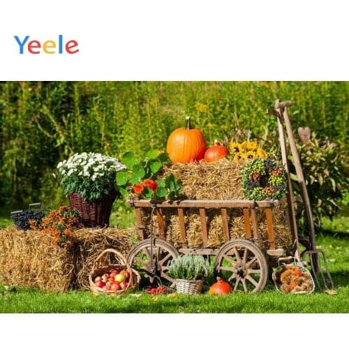 Yeele Autumn Harvest Pumpkins Haystack Photography Background Baby Happy Thanksgiving Day Photocall Backdrop For Photo Studio
