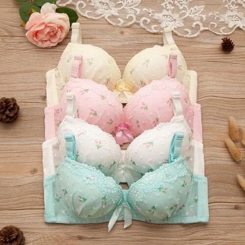 Bralette Seamless Sexy Lingerie Simple Push Up Bra Backless Wireless Brassiere Female Cute Underwear Small Brassiere Intimates