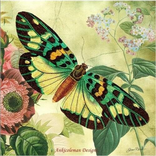 Needlework for embroidery DIY DMC High Quality - Counted Cross Stitch Kits 14 ct Oil painting - Butterfly in Love II