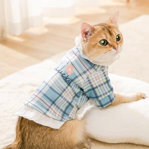 Pet Plaid Sweater Comfortable And Warm Princess Style Lace Neckline Text Flower Embroidery For Cats And Dogs Pet Supplies