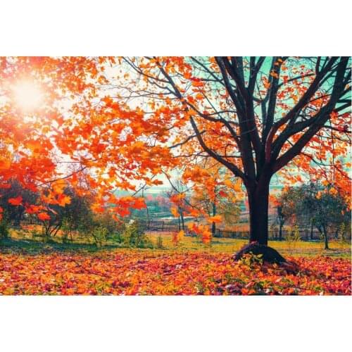 Beautiful Autumn Maple Leaves Landscape Backdrop Holiday Photography Background Celebration Photo Booth Studio Decor