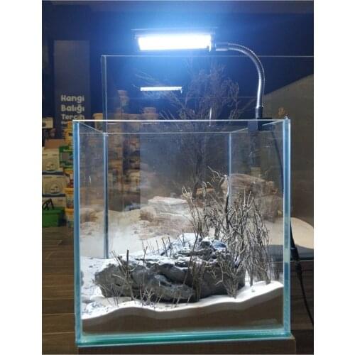 Petzanya Lighting For Aquariums