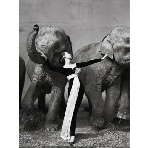 Dovima with Elephants Paris Art Film Print Silk Poster Home Wall Decor 24x36inch