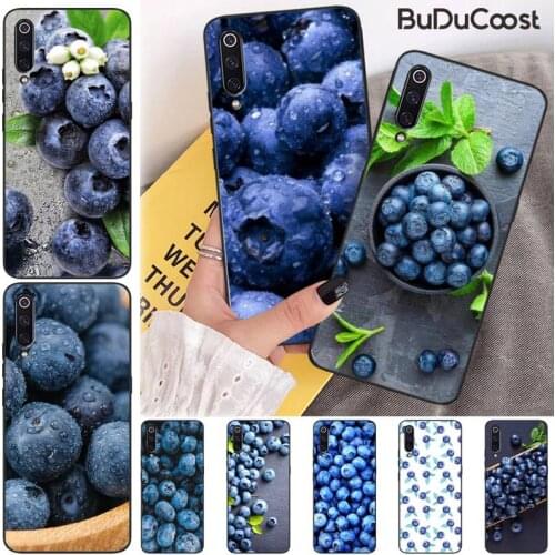 Blueberry fruit Phone Case For Xiaomi Mi 9 9T CC9 CC9E 8 SE Pro A2 Lite 6X 5 A3 A1 Max Mix 2 3