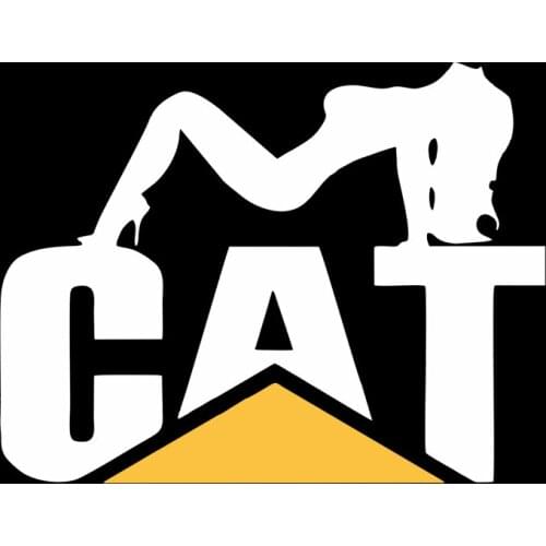 Cat and Beauty Lie Down Sticker Caterpillar PVC Cut Vinyl Refrigerator Laptop Anti-UV Waterproof Car Exterior Accessories Sticke