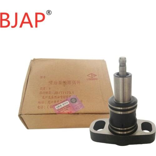 Genuine LongBeng Injection Pump Using Plunger 1108 Element