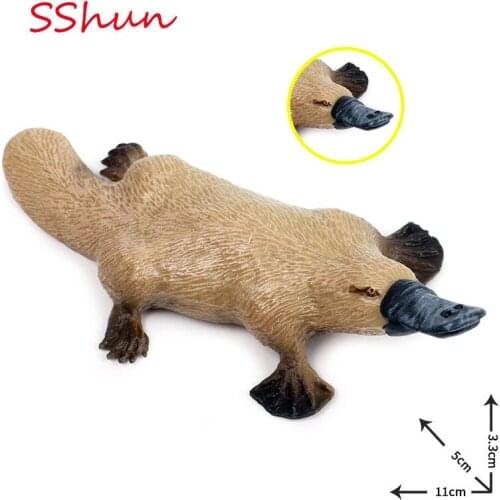 Children cognitive simulation solid wild animal model Platypus Australian animal toy model ornaments