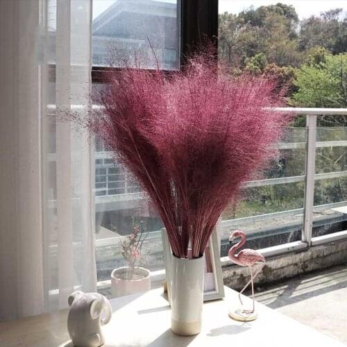 Real Red Dried Flowers Natural Bouquet Home Decor Pampas Grass for Wedding Party New Products Very Popular Free Shipping