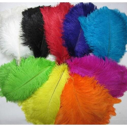 10 PCS Pretty Ostrich Feathers 30-35CM DIY Jewelry Making Wedding Party Decoration Plumes and Feathers for Crafts,11Colours