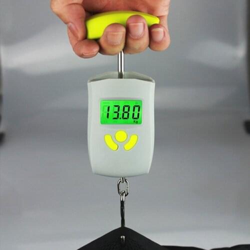 AJY 10g Mini Digital Scale for Fishing Luggage Travel Weighting Steelyard Hanging Electronic Hook Scale