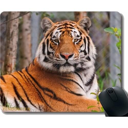 Mouse Pad With Stitched Edge,Tiger Lying Big Cat Predator 81684 Gaming Mouse Mat