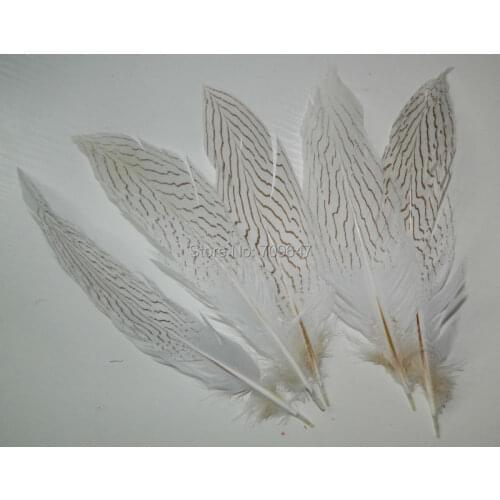100pcs/lot!10-12inch 25-30cm NATURAL Silver Pheasant Feathers Craft Supply Millinery Supplies Jewelry Making Feather