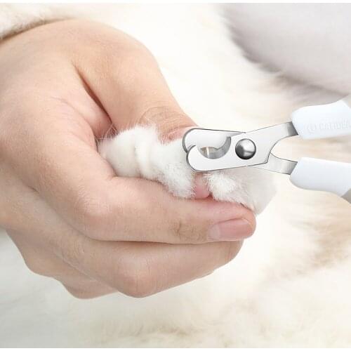 Claw Nail Scissors Grooming Scissors Pet Nail Claw Cutter Pet Supplies Professional Stainless Steel Nails Clipper Trimmer