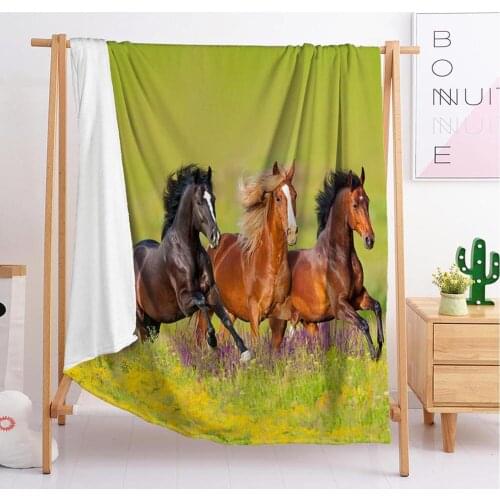 Steeds mexican pink luxury animal crossing fabric blanket for bed custom photo weighted tapestry throw h fuzzy blanket 2