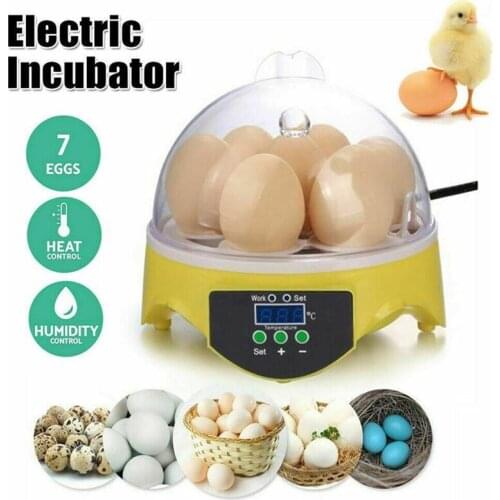 7 Eggs Capacity Chicken Eggs Bird Incubator Egg Rack Tray Automatic Intelligent Control Quail Parrot Incubation Tool With Plug