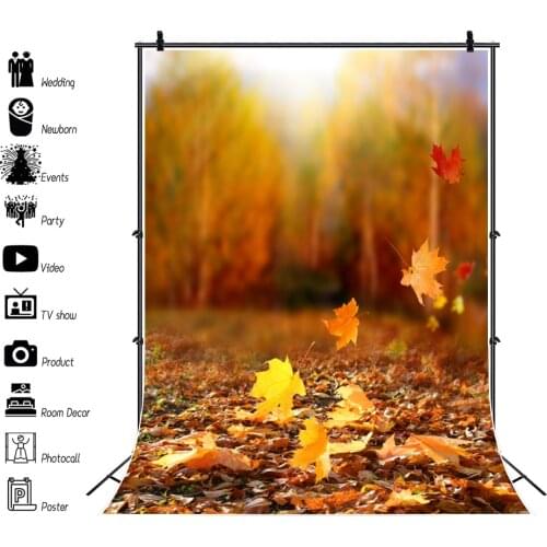 Yellow Autumn Backdrop For Photography Sunny Day Forest Tree Fallen Tree Leaves Natural View Scenic Photo Background Photostudio