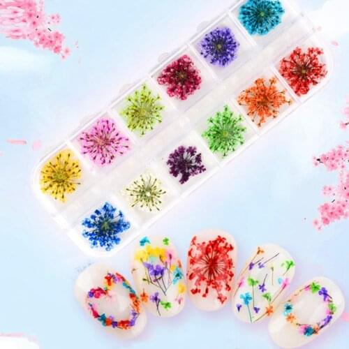 JAVRICK 24Pcs DIY Real Pressed Flower Annes Lace Dried Natural Flower Nail Art Resin Jewelry Making
