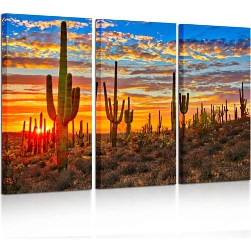 Large 3 Piece Canvas Wall Art Beautiful Sunset Landscape of National Park Arizona Sonoran Desert Cactus Pictures Drop shipping