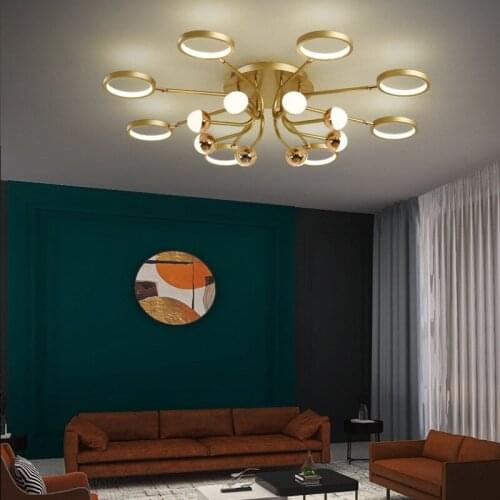 Living Room Lamp 2020 New Simple and Modern Hall Lamp Creative Bedroom Restaurant LED Ceiling Lamp Nordic Lamp Free Adjustment
