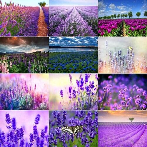 Diamond Mosaic Full Square/Round Lavender Landscape 5D DIY Diamond Painting Embroidery Mosaic Kit Home Decor