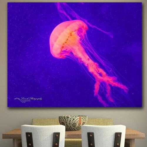 Large size Printing Oil Painting Beautiful jellyfish wall art canvas prints pictures for living room and bedroom No Frame