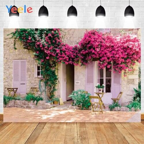 Yeele Stone House Red Flower Green Leaves White Door Frame Landscape Background Photophone Photography for Decor Customized Size