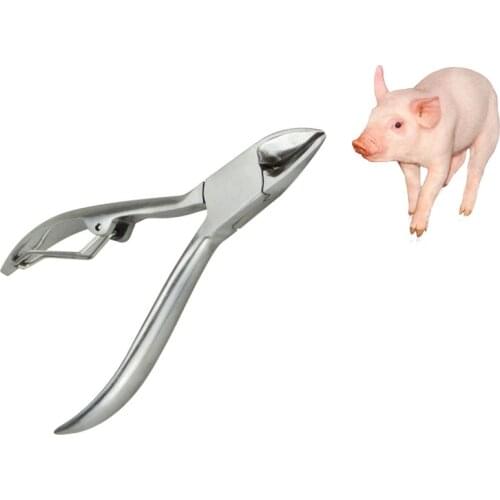 Pig Stainless steel Cutting tooth pliers elbow shrapnel pig 10cm12cm14cm instrument piglet livestock breeding equipment