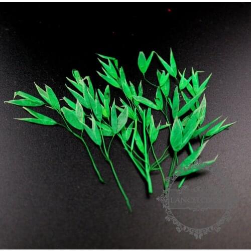 5-8cm green leaf branch DIY dry pressed flower pendant charm jewelry 1503185